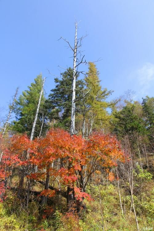 通化县疫情溯源：长白山地缘屏障下的防控挑战