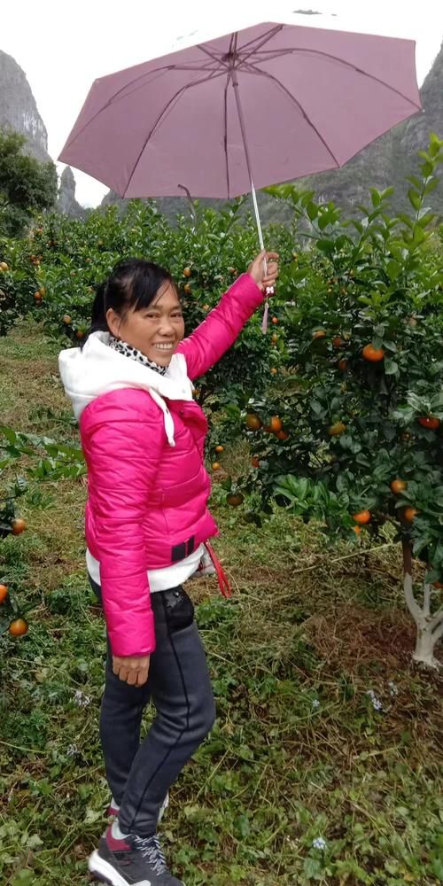 柳城：喀斯特地貌下的疫情围城与防控突围