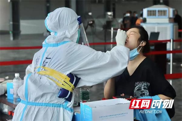 遂平防疫样本：豫南平原交通枢纽的疫情压力测试