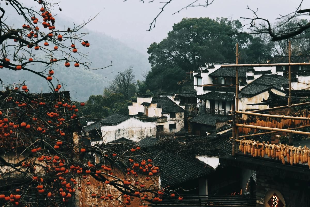 婺源：徽派古村群落中的疫情静默防线