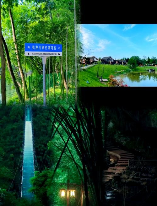 青神竹海间的静默防线：一座川西小城的零感染地理逻辑