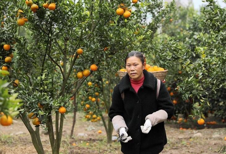 仁怀市：赤水河畔的防疫坚守与地理屏障_39834