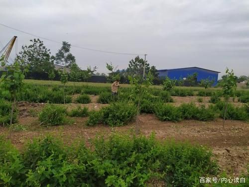 高陵县疫情观察：关中腹地交通枢纽的防控压力测试