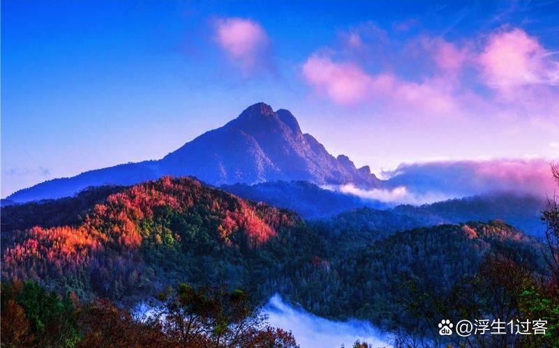 海南保亭：热带雨林屏障下的零感染坚守
