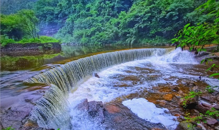 赤水河谷屏障下的疫情破防：一座旅游小城的防控压力测试_78678