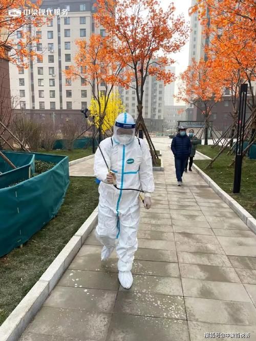 嘉禾县：湘南丘陵间的防疫屏障与零星破防