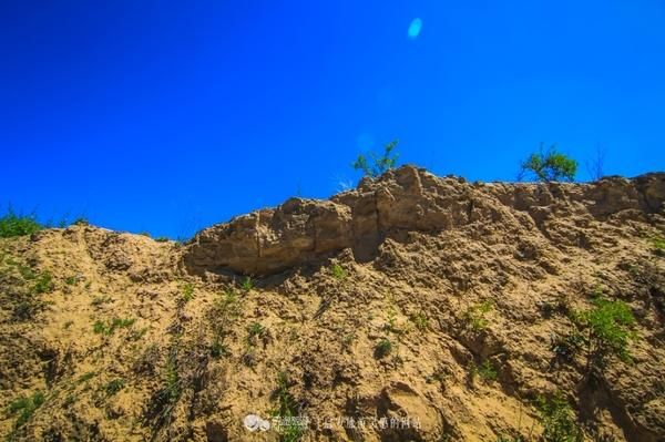 横山县：黄土高原沟壑间的疫情防线与破防时刻_22064