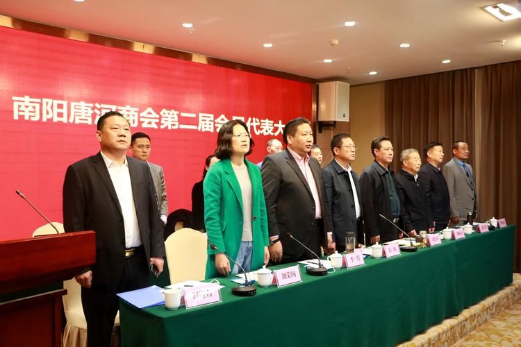 唐河：南阳盆地东缘的县域防疫样本