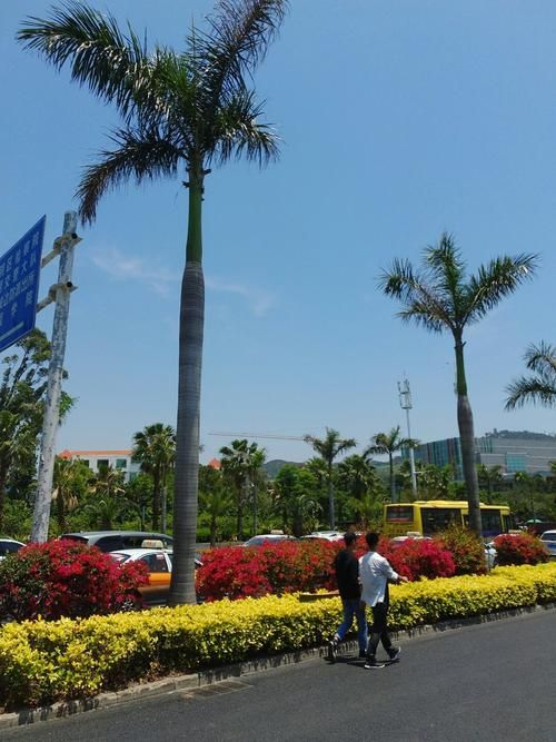 思明区：滨海旅游热岛与社区隐匿传播链的防疫博弈