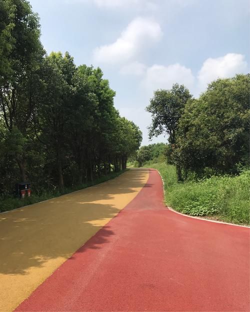 团风：长江之畔的县域防疫样本与交通枢纽压力测试_32037