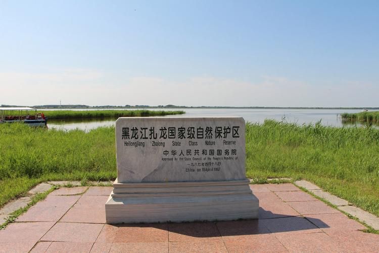 通河县：松花江畔的零感染孤岛如何筑成？