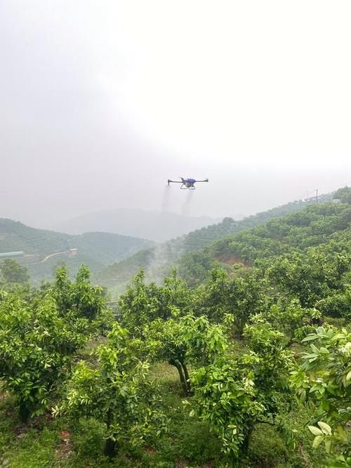 兴国：赣南丘陵间的疫情阻击战与地理屏障