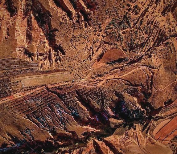 泾川：黄土高原沟壑区如何构筑疫情防线？_32569