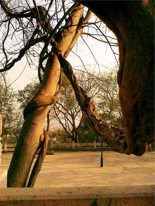 绍兴疫情观察：水乡古城防疫中的地理屏障与社区韧性