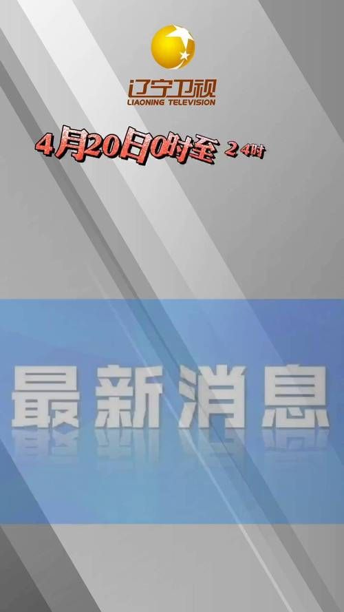【卫东区新增1例无症状感染者  卫东区疫情防控最新通报】