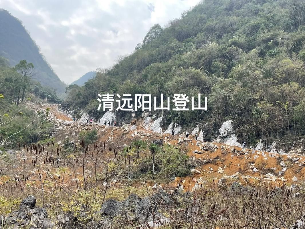 【阳山：粤北生态屏障下的疫情低发样本】
