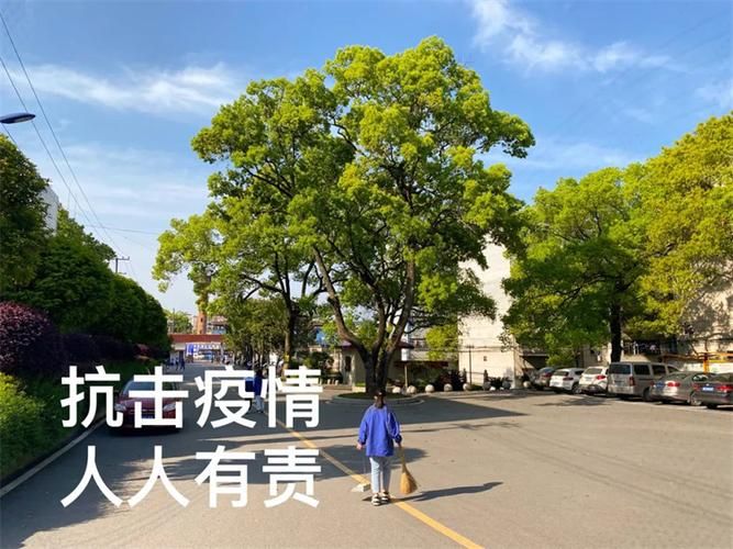 扶沟县：豫东平原的疫情防线与社区防控逻辑