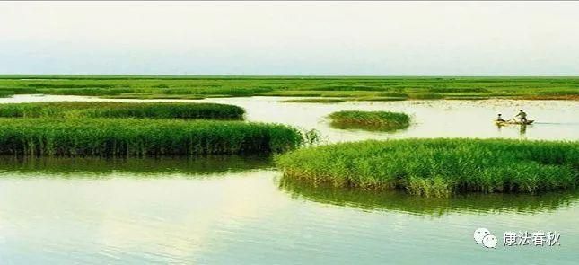 大洼县：辽河三角洲湿地屏障下的疫情防线