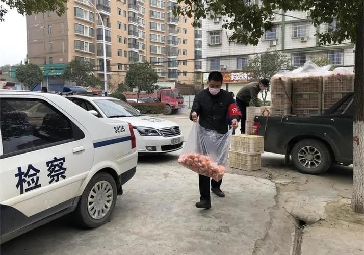 新田：湘南丘陵间的零感染坚守与物理防线