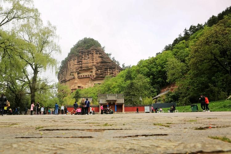 麦积区：陇上林海屏障下的疫情破防时刻_71975