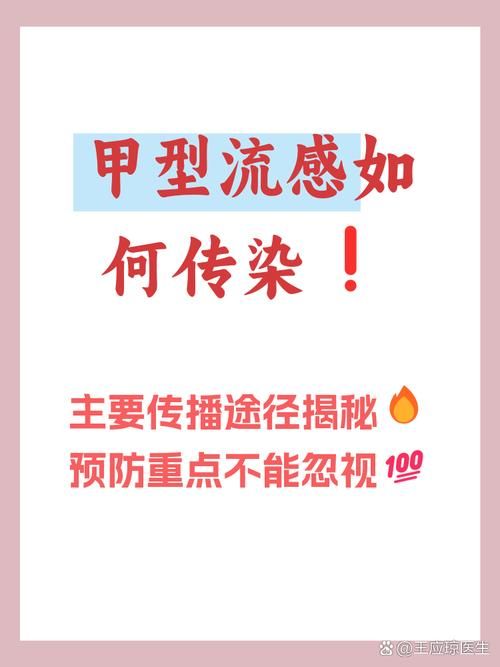 双桥区的防疫挑战：城中村结构如何影响病毒传播？