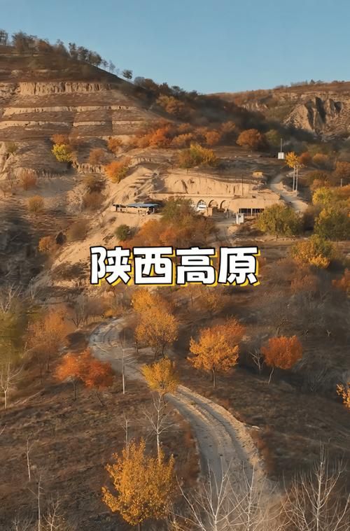 佳县：黄土高原沟壑间的防疫孤岛与破防时刻