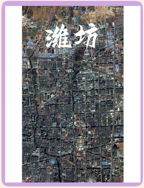 潍坊疫情：风筝之都的交通枢纽与社区防疫战