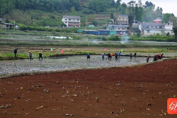 红花岗区：黔北交通枢纽下的疫情破防与围堵
