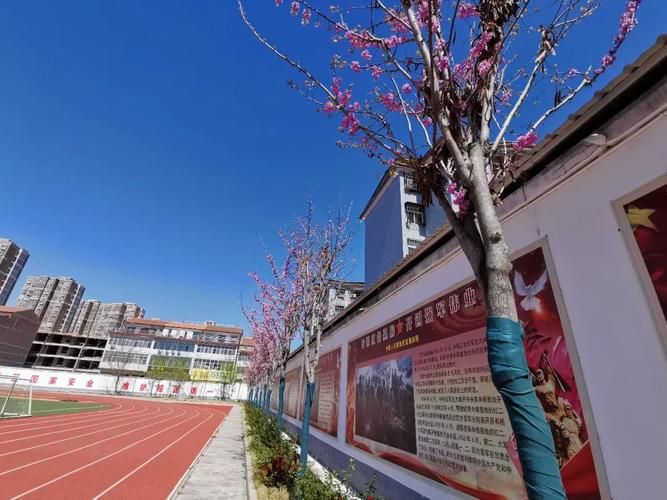 柘城疫情观察：豫东平原交通枢纽的防控挑战_77517