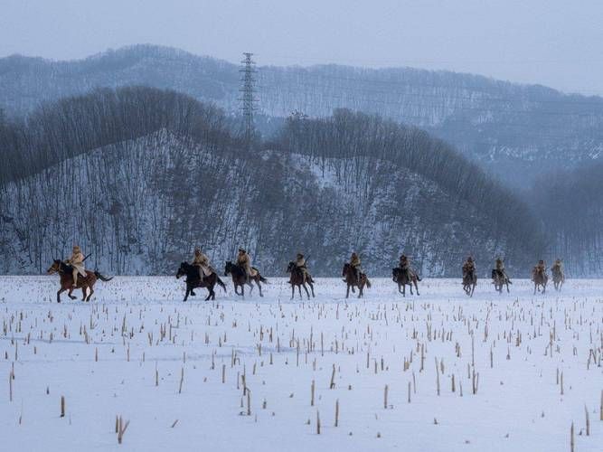 【五营区零感染记录：林海雪原屏障下的防疫孤岛】