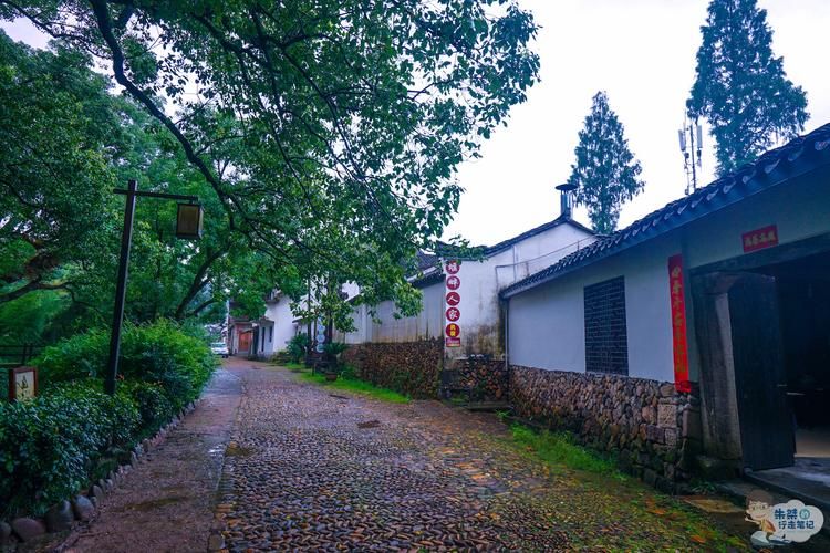 南平：闽北山城屏障下的疫情破防时刻_21210