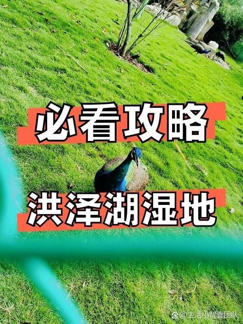 【洪泽湖湿地屏障下的疫情破防：一座水乡县城的防控挑战】