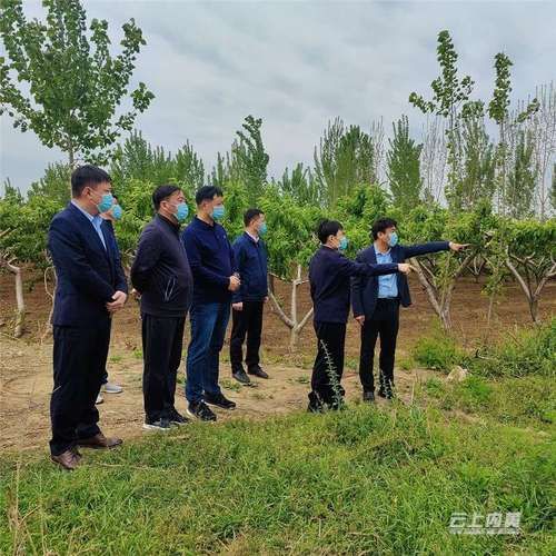 内黄疫情观察：豫北平原腹地的防控突围