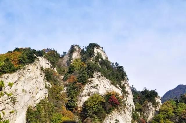 卢氏县：伏牛山屏障下的零感染坚守_42402