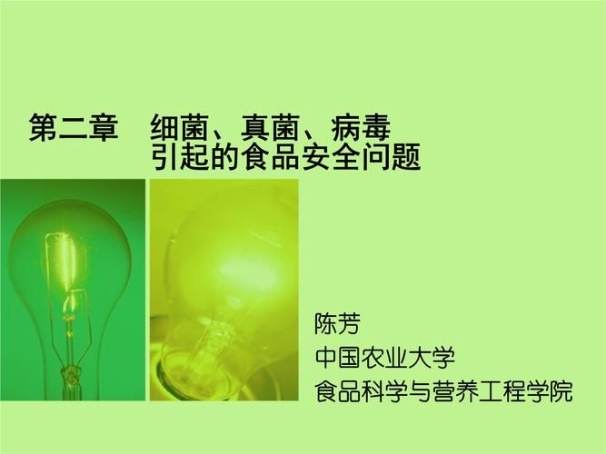 高原屏障下的零感染坚守：金阳县的物理防线与政策闭环