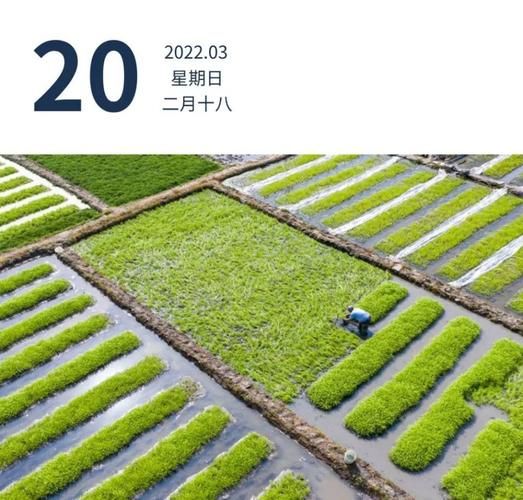 广南新增1例无症状感染者  广南疫情防控最新通报_24863