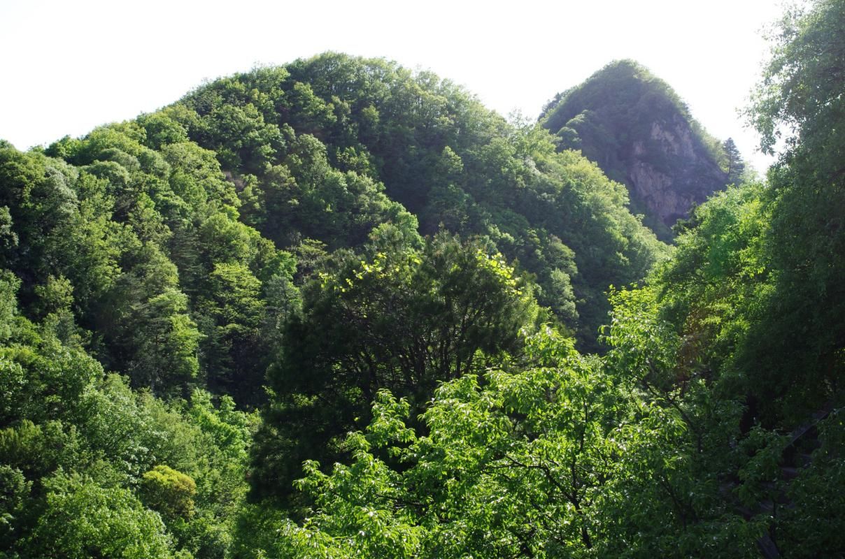 卢氏县：伏牛山腹地的零感染坚守与物理防线_67404