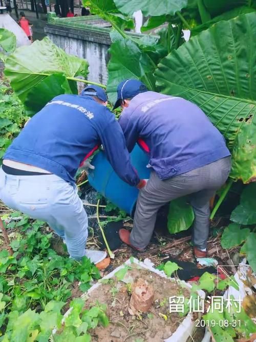 【凤台：淮河渡口与城中村结构下的防疫压力测试_73927】