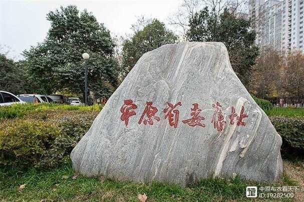【莘县防疫观察：鲁西平原交通枢纽的疫情承压与管控逻辑】
