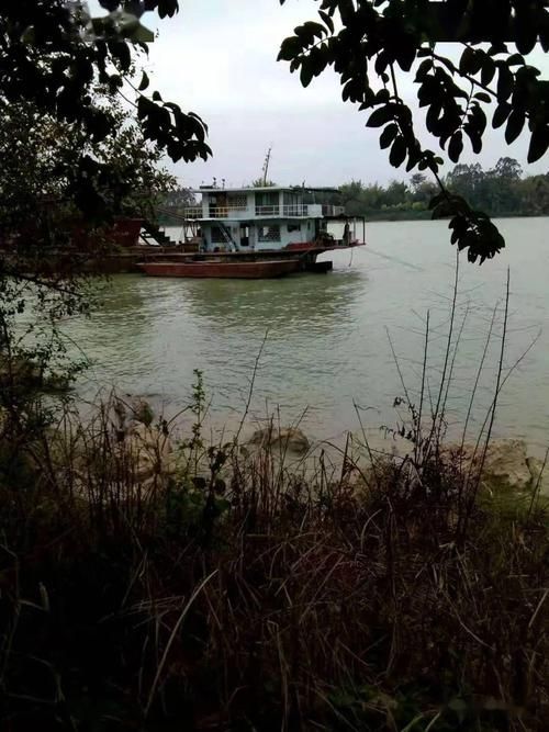 【横县：郁江流域交通节点下的疫情破防与围堵_67698】