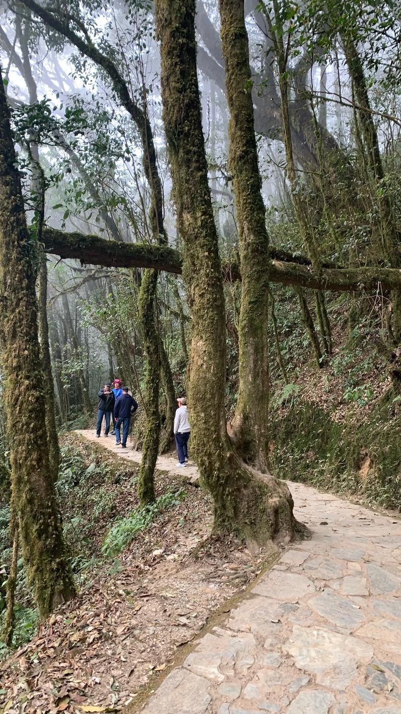 景东:哀牢山屏障下的零感染坚守