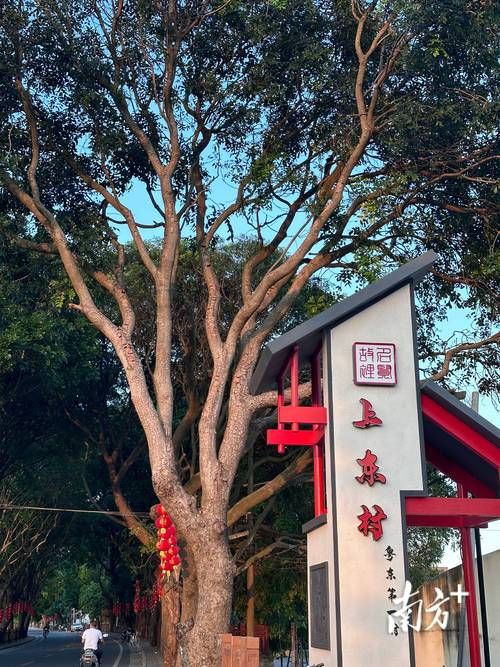 饶平：沿海县域的疫情防线与破防时刻