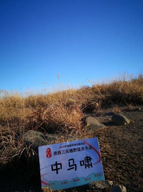 临安:浙西丘陵屏障下的疫情破防与精准围堵