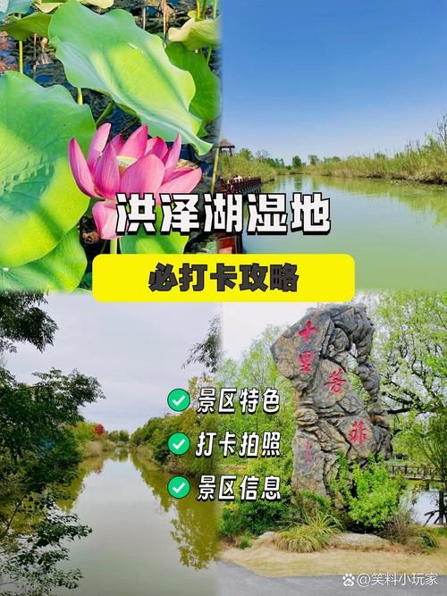 泗洪县：洪泽湖湿地屏障下的防疫样本