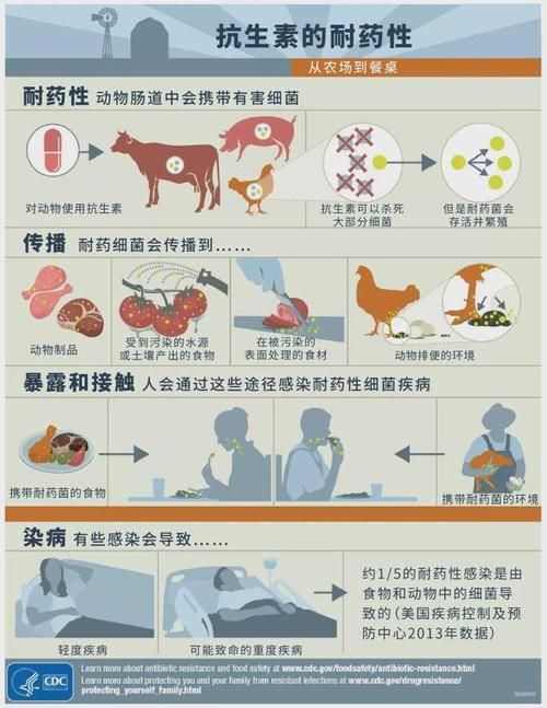 高原屏障下的零感染坚守：鲁甸县防疫地理优势解析