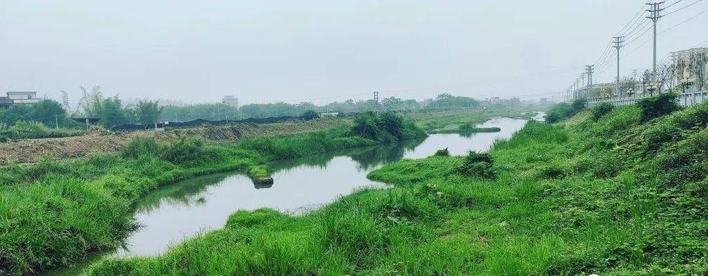 【罗定市：粤西丘陵地带的疫情防线与破防时刻】