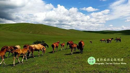 鄂温克草原的静默防线：高寒游牧地理如何阻断病毒传播链