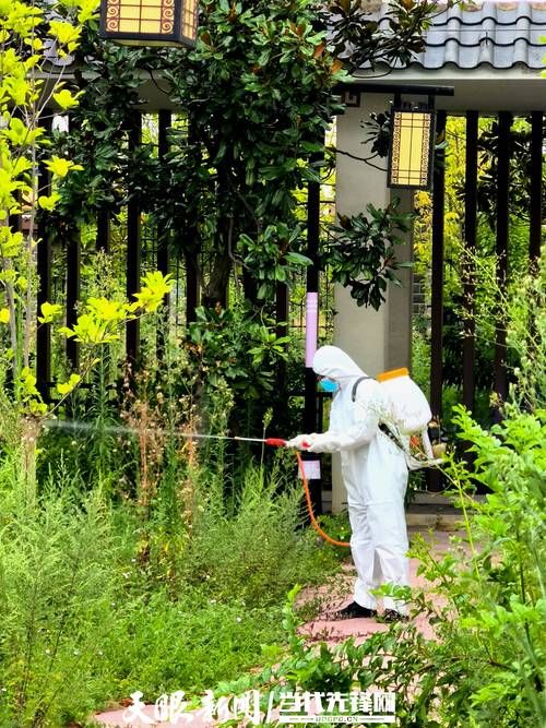 大方县新增1例无症状感染者  大方县疫情防控最新通报