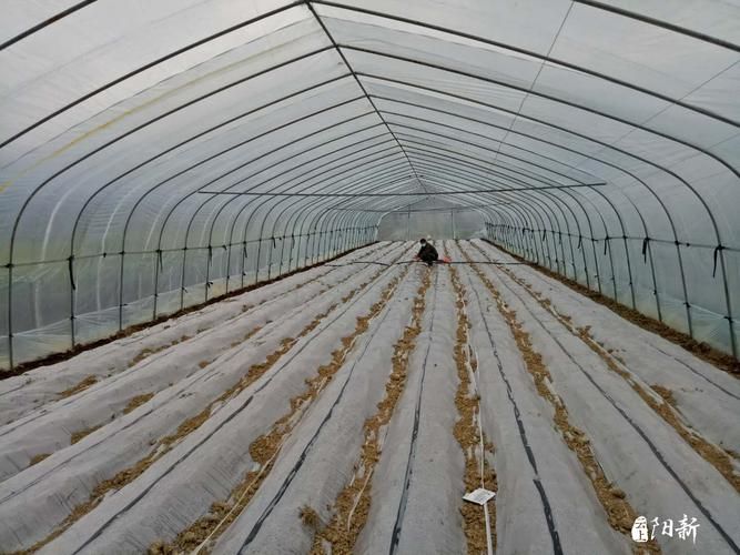 瀍河回族区：交通枢纽下的疫情破防与精准围堵