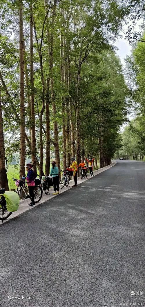 古浪疫情观察：河西走廊交通节点下的防控挑战